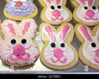 Close up of Easter bunny cookies on a bakery shelf Stock Photo