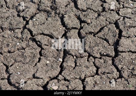Dry cracked soil. Dry textured ground surface as background. Stock Photo