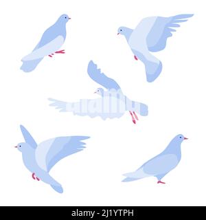 Set of five flat simplified abstract doves. Bird of peace for design cards and banners, peace and love symbol, pigeon different poses, stay and fly with open wings vector illustration Stock Vector