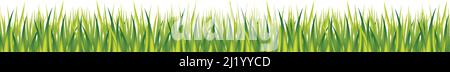 Realistic green grass on white panoramic background - Vector illustration Stock Vector