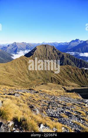 Kepler Track Fiordland New Zealand Stock Photo