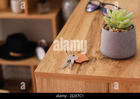 Keys from house with houseplant on wooden table in room Stock Photo
