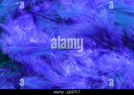 Beautiful soft feathers as background Stock Photo