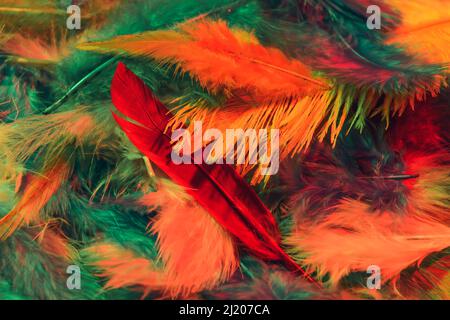 Beautiful soft feathers as background Stock Photo