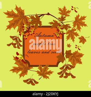 Branch, seeds and leaves of maple. Autumn maple leaves set. Concept of autumn frame or background with maple leaves. Stock Vector