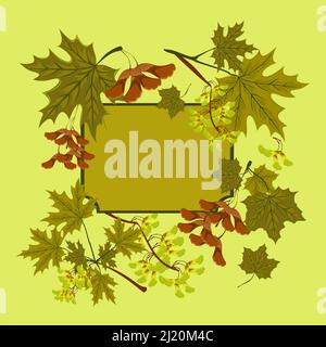 Branch, seeds and leaves of maple. Summer green maple leaves set. Consept of autumn frame or background with maple leaves. Stock Vector