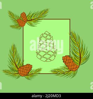 Pine branch and needles. Pine cones. Pine cone in frame. Clipart Stock Vector