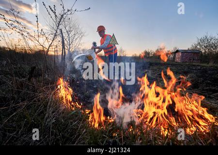 Fireman ecologist extinguishing fire in field with evening sky on background. Male environmentalist holding bucket and pouring water on burning dry grass near yellow triangle warning sign. Stock Photo