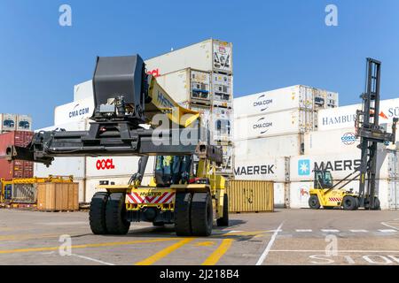 Hyster container carrier reach stacker, Pentalver Transport container storage facility, Port of Felixstowe, Suffolk, England, UK Stock Photo