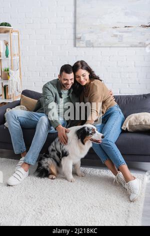 cheerful couple cuddling australian shepherd dog in living room Stock Photo