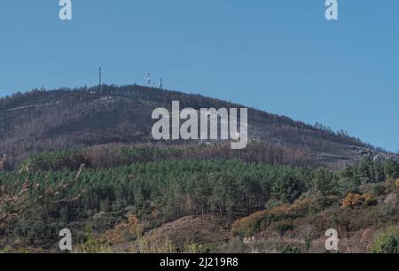 Dead trees and dead forest after a huge forest fire. Natural disaster in the forest fire. Burnt trees and burnt mountain. Burnt trees. Forest landscap Stock Photo