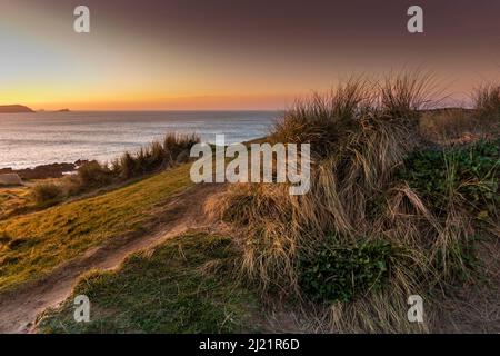 Sunset over Marram Grass Ammophila growing on the coast path overlooking Fistral Bay in Newquay in Cornwall. Stock Photo
