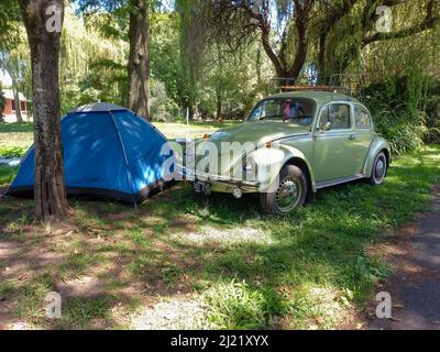 Camping in a blue tent with an old Volkswagen Beetle Type 1. Grass and trees nature campsite background. Suda VW classic car show. Copyspace Stock Photo