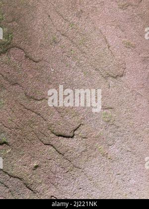Old gray brown irregular concrete wall as background Stock Photo
