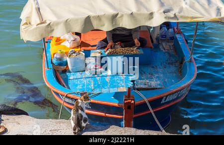 Fishing boat in harbour with catch of the day and local cat awaiting his share. Stock Photo