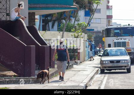 A Cuban man walks in the sidewalk wearing a face mask. Another man sits in his house doorstep. A stray dog walks in an area where vehicles are parked. Stock Photo