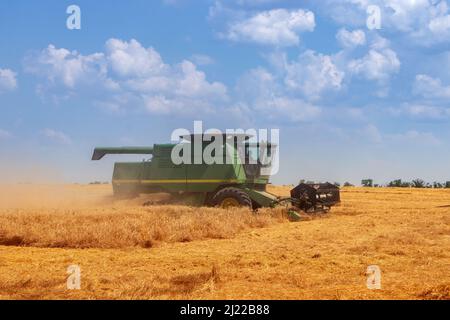 harvesting wheat. Combine harvester collects spikelets of wheat. Agriculture. Stock Photo