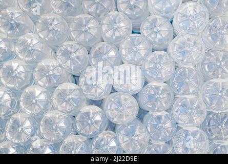 bottom of plastic bottles with water in the refrigerator in a summer cafe. Stock Photo