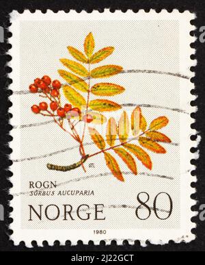 NORWAY - CIRCA 1980: a stamp printed in the Norway shows European Rowan, Sorbus Aucuparia, Mountain Flower, circa 1980 Stock Photo