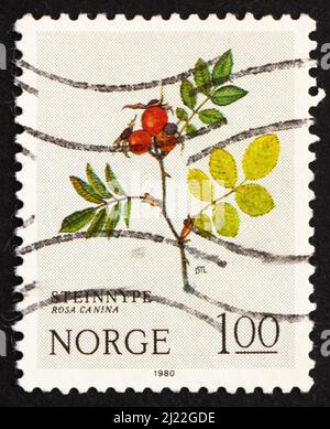 NORWAY - CIRCA 1980: a stamp printed in the Norway shows Dog Rose, Rosa Canina, Mountain Flower, circa 1980 Stock Photo