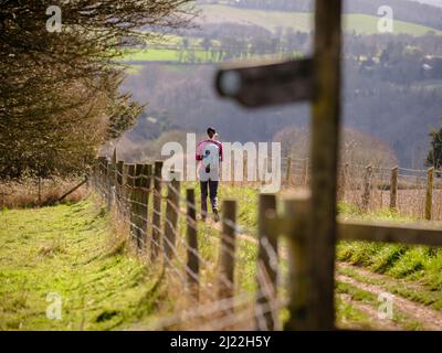 Walking from West to East a young woman walker at Beacon Hill on the South Downs Way near the village of Exton, Hampshire, UK Stock Photo