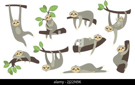 Cute sleepy sloth on branch flat icon set. Cartoon character of little sloth hanging, sleeping, lying or playing with baby isolated vector illustratio Stock Vector