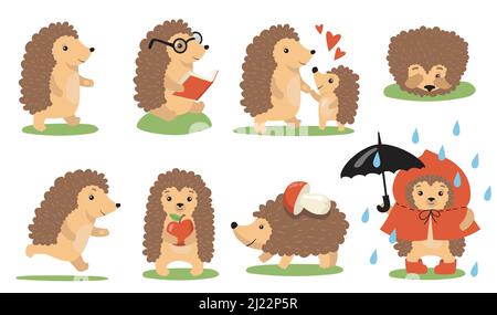 Cute hedgehog actions and poses set. Cartoon wild animal walking in rain, reading, playing with baby, sleeping, running, carrying food. Vector illustr Stock Vector