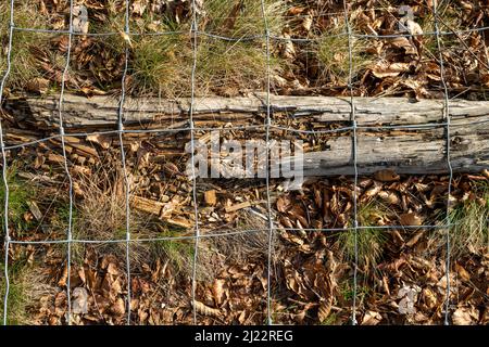 wooden fence post fallen on the floor rotting away with wire mesh still attached Stock Photo
