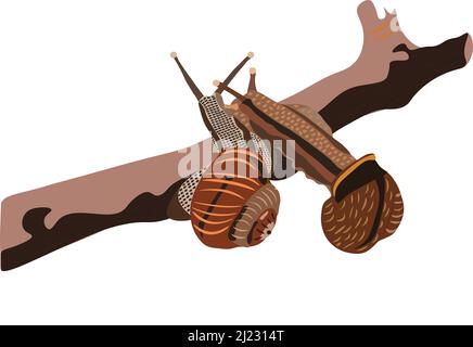 Two grape snails on a wooden branch. Vector illustration Stock Vector