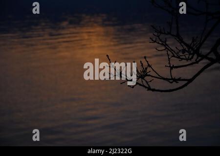 Beautiful red leafless tree silhouettes on sunset sea landscape background with sunlight light and shadows. Landscape of peaceful romantic nature Stock Photo