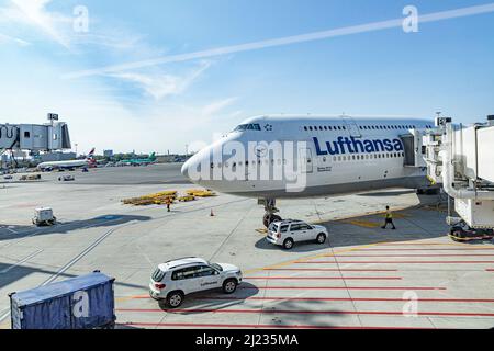Boston, USA - September 11, 2017: Lufthansa aircraft  parking at the terminal of  Boston Logan international airport, USA. Stock Photo