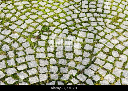 green grass grows through the gaps in the pavement granite stones Stock Photo