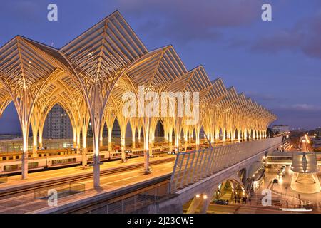 Gare do Oriente station, steel lattice structure over the platforms illuminated at dusk, located in Parque das Nacoes district of Lisbon Portugal. Stock Photo