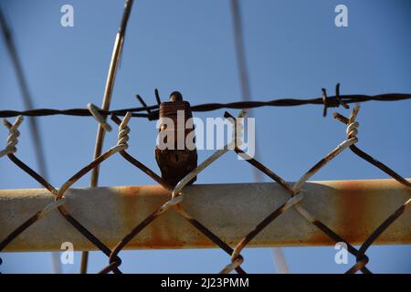 Rusty Lock on an old chain link fence Stock Photo