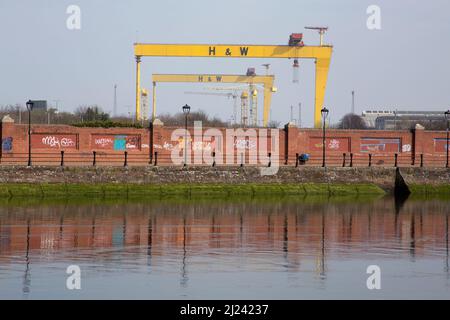 Samson and Goliath the twin shipbuilding gantry cranes of the Harland & Wolff company reflected in the River Lagan Belfast Northern Ireland Stock Photo