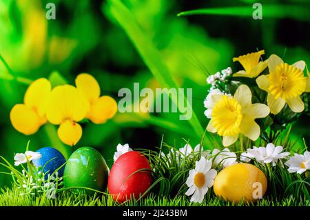 Easter composition, colorful eggs in grass with flowers on a colorful blurry background, still life Stock Photo