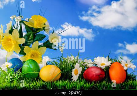 Easter composition, colored eggs in the grass with flowers against the sky, still life Stock Photo
