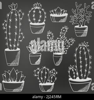 Cactus and succulents set on chalkboard. Hand drawn plants in flower pots. Black and white echeveria, rosula, aloe vera. Design for book, magazine, web, card. Vector illustration Stock Vector