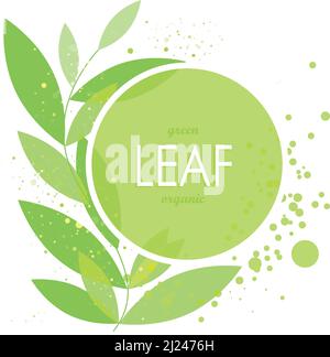 green leaves, branch of green leaves, stylized leaf, design element, green sign, circle border, design foliage, fresh leaves, abstract floral backgrou Stock Vector