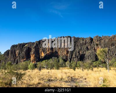 Limestone cliffs of the Napier Range, Windjana Gorge, Bandilngan National Park, West Kimberley Stock Photo