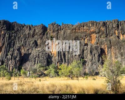 Limestone cliffs of the Napier Range, Windjana Gorge, Bandilngan National Park, West Kimberley Stock Photo