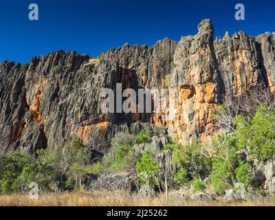 Limestone cliffs of the Napier Range,  Windjana Gorge, Bandilngan National Park, West Kimberley Stock Photo