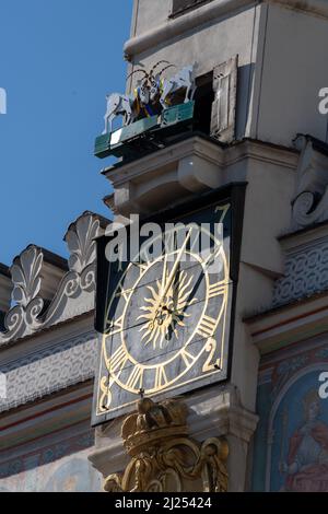 Clock on Poznan Town Hall with Fighting Goats at Midday Stock Photo