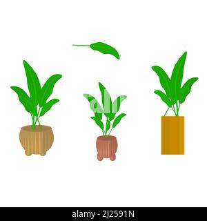Set of tree leaf pot biology ornamental nature for decorative vector illustration Stock Vector