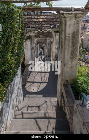 'Minerva's Garden' is situated on the fringes of the castle hill that dominates the old Salerno. In it can be found the medieval 'Hortus sanitatis' (H Stock Photo