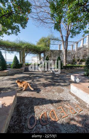 'Minerva's Garden' is situated on the fringes of the castle hill that dominates the old Salerno. In it can be found the medieval 'Hortus sanitatis' (H Stock Photo