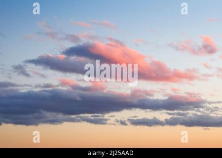 Pink Cumulus clouds decorate evening sky at sunset. Switzerland Stock Photo