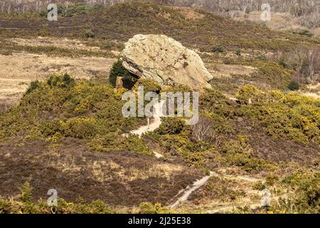 Agglestone Rock aka Devil's Anvil, Studland and Godlingston Heath, Dorset, UK Stock Photo