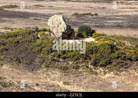 Agglestone Rock aka Devil's Anvil, Studland and Godlingston Heath, Dorset, UK Stock Photo