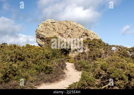 Agglestone Rock aka Devil's Anvil, Studland and Godlingston Heath, Dorset, UK Stock Photo